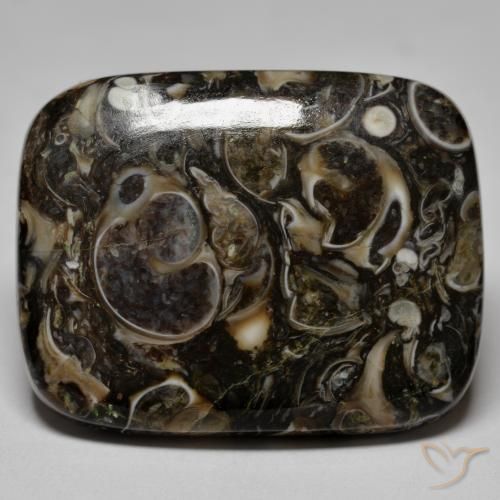 Jaspe Multicolor natural de 23.67 ct, Forma Cojín, Opaco