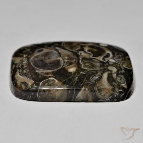 Jaspe Multicolor natural de 23.67 ct, Forma Cojín, Opaco