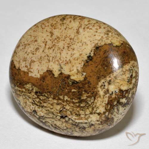 Jaspe Multicolor natural de 32.88 ct, Ovalada, Opaco