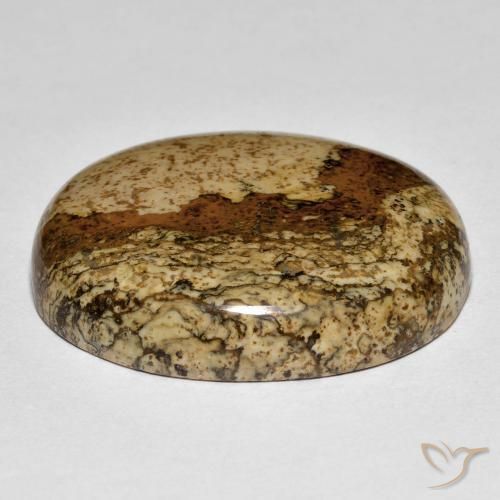Jaspe Multicolor natural de 32.88 ct, Ovalada, Opaco