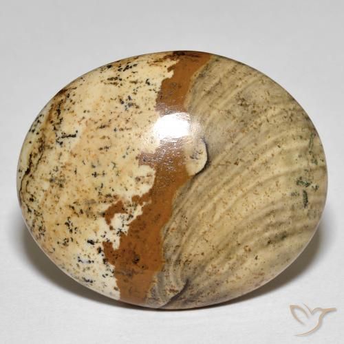 Jaspe Multicolor natural de 26.64 ct, Ovalada, Opaco