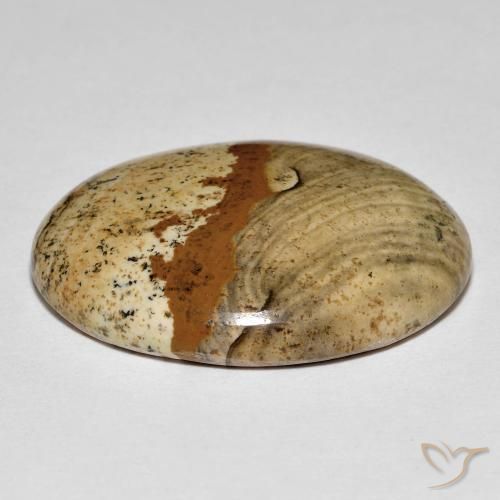 Jaspe Multicolor natural de 26.64 ct, Ovalada, Opaco