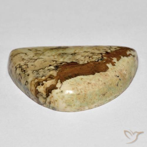 Jaspe Multicolor natural de 18.92 ct, Elegante, Opaco