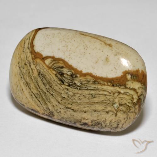 Jaspe Multicolor natural de 34.74 ct, Forma Cojín, Opaco