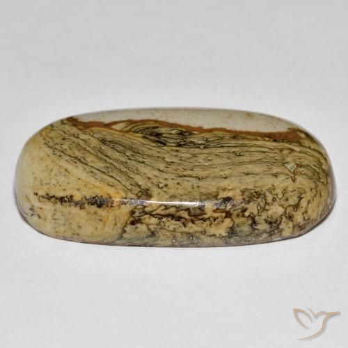 Jaspe Multicolor natural de 34.74 ct, Forma Cojín, Opaco