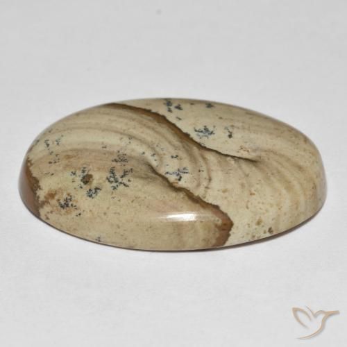 Jaspe Multicolor natural de 23.20 ct, Ovalada, Opaco