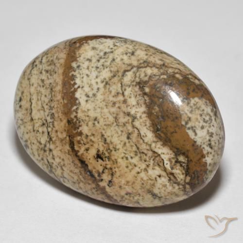 Jaspe Multicolor natural de 39.03 ct, Ovalada, Opaco