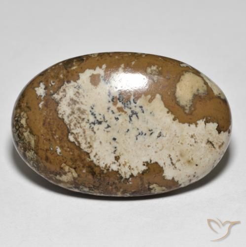 Jaspe Multicolor natural de 34.78 ct, Ovalada, Opaco