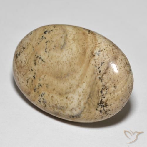 Jaspe Multicolor natural de 31.50 ct, Ovalada, Opaco