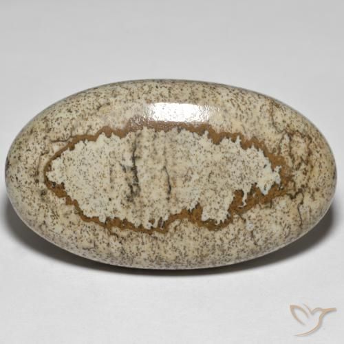 Jaspe Multicolor natural de 50.64 ct, Ovalada, Opaco