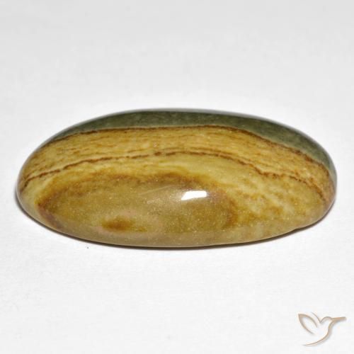 Jaspe Multicolor natural de 23.89 ct, Ovalada, Opaco