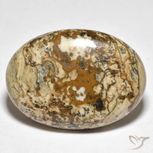 Jaspe Multicolor natural de 19.98 ct, Ovalada, Opaco