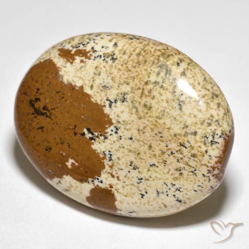 Jaspe Multicolor natural de 35.50 ct, Ovalada, Opaco