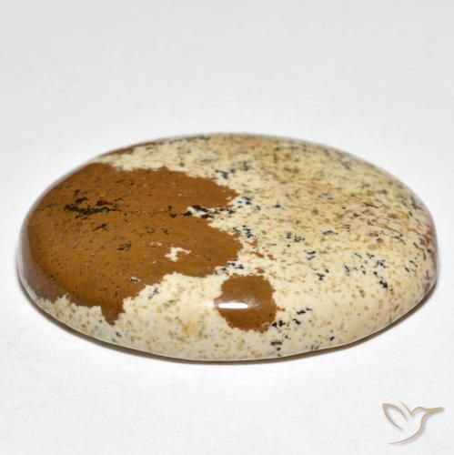 Jaspe Multicolor natural de 35.50 ct, Ovalada, Opaco