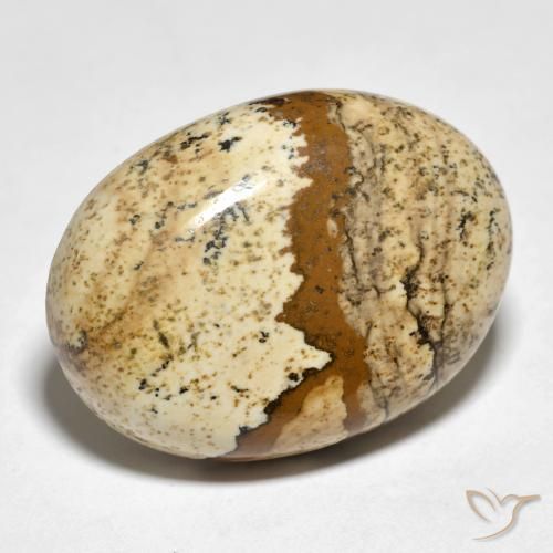 Jaspe Multicolor natural de 24.19 ct, Ovalada, Opaco