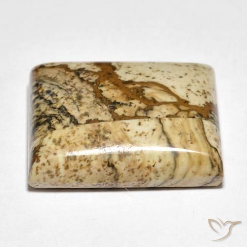 Jaspe Multicolor natural de 18.09 ct, Cuadrado, Opaco