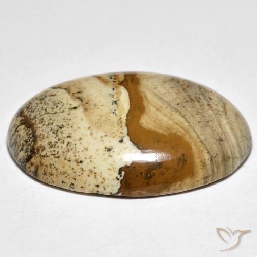 Jaspe Multicolor natural de 22.37 ct, Ovalada, Opaco