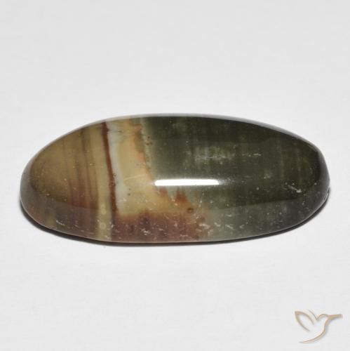Jaspe Multicolor natural de 13.77 ct, Ovalada, Opaco
