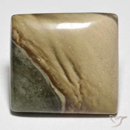 Jaspe Multicolor natural de 27.20 ct, Cuadrado, Opaco