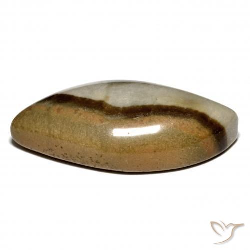 Jaspe Multicolor natural de 21.20 ct, Elegante, Opaco