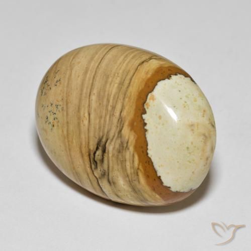 Jaspe Multicolor natural de 41.24 ct, Ovalada, Opaco