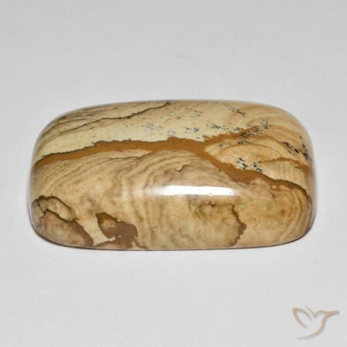 Jaspe Multicolor natural de 62.57 ct, Forma Cojín, Opaco