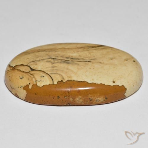 Jaspe Multicolor natural de 55.34 ct, Ovalada, Opaco