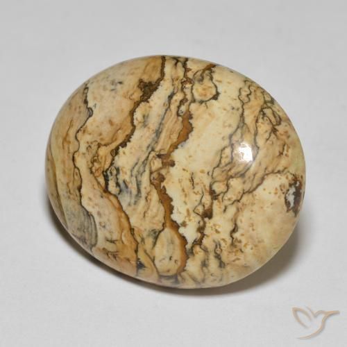 Jaspe Multicolor natural de 25.04 ct, Ovalada, Opaco