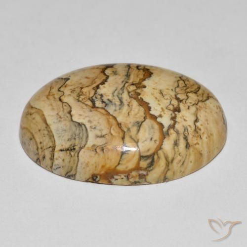 Jaspe Multicolor natural de 25.04 ct, Ovalada, Opaco