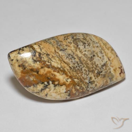Jaspe Multicolor natural de 35.50 ct, Elegante, Opaco