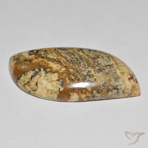 Jaspe Multicolor natural de 35.50 ct, Elegante, Opaco