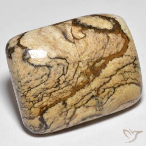 Jaspe Multicolor natural de 32.92 ct, Forma Cojín, Opaco