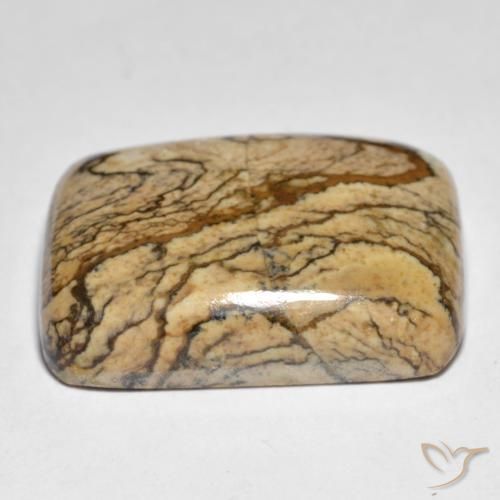 Jaspe Multicolor natural de 32.92 ct, Forma Cojín, Opaco