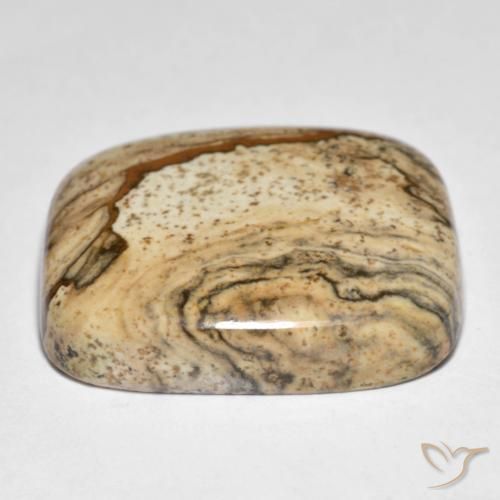 Jaspe Multicolor natural de 31.61 ct, Forma Cojín, Opaco