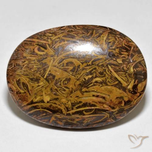 Jaspe Multicolor natural de 62.43 ct, Ovalada, Opaco