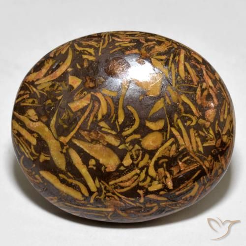 Jaspe Marrón jengibre natural de 58.00 ct, Ovalada, Opaco