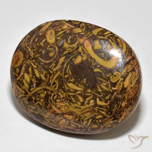 61.03ct Natural Marrón jengibre Jaspe, Ovalada, Opaco