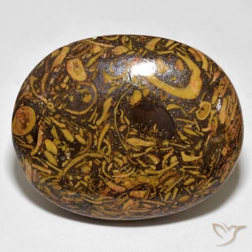 Jaspe Marrón jengibre natural de 61.03 ct, Ovalada, Opaco