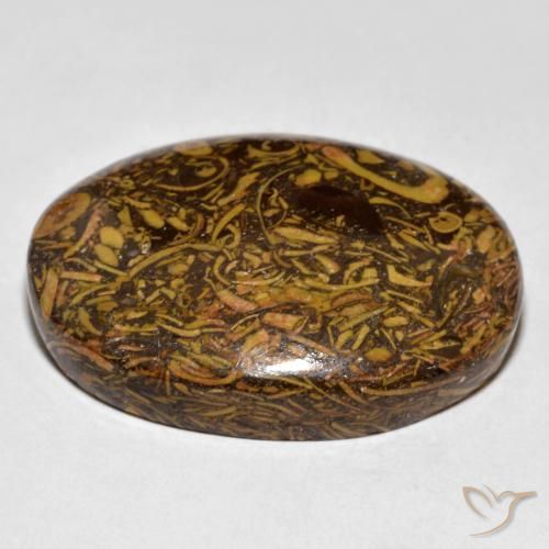 Jaspe Marrón jengibre natural de 61.03 ct, Ovalada, Opaco