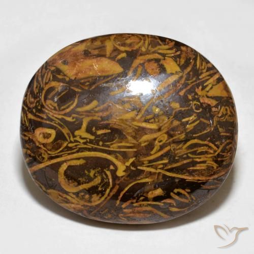 57.64ct Natural Marrón oscuro medio Jaspe, Ovalada, Opaco