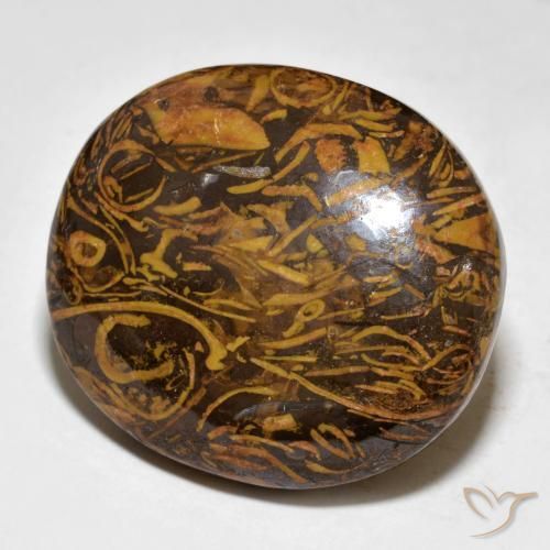 Jaspe Marrón oscuro medio natural de 57.64 ct, Ovalada, Opaco