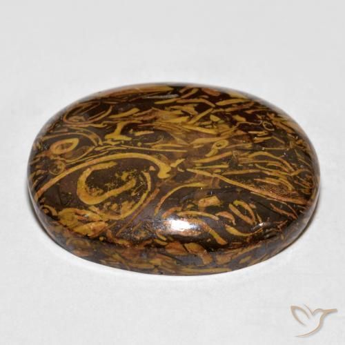 Jaspe Marrón oscuro medio natural de 57.64 ct, Ovalada, Opaco