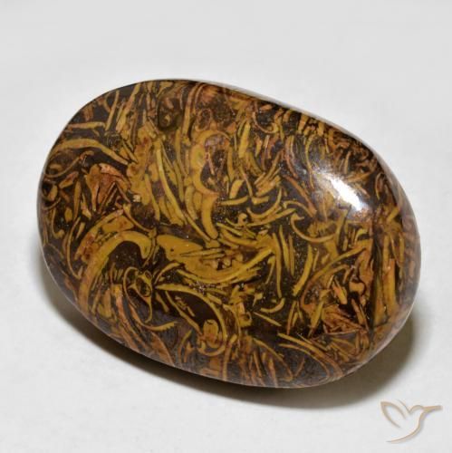 Jaspe Marrón dorado natural de 59.94 ct, Ovalada, Opaco