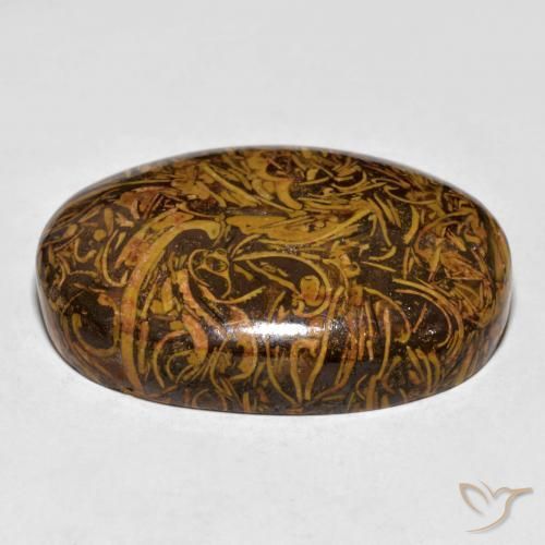 Jaspe Marrón dorado natural de 59.94 ct, Ovalada, Opaco