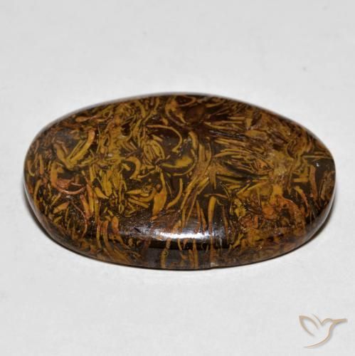 Jaspe Marrón dorado natural de 63.72 ct, Ovalada, Opaco