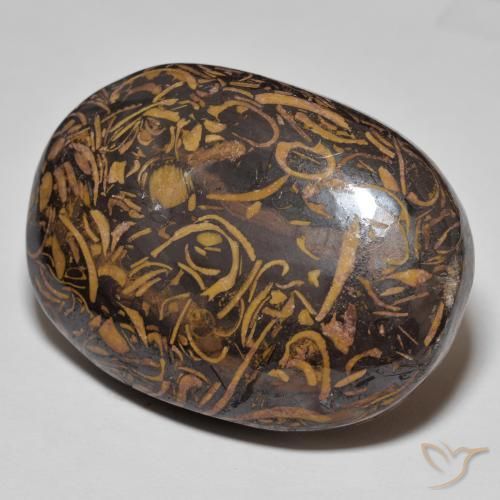 Jaspe Multicolor natural de 75.13 ct, Ovalada, Opaco