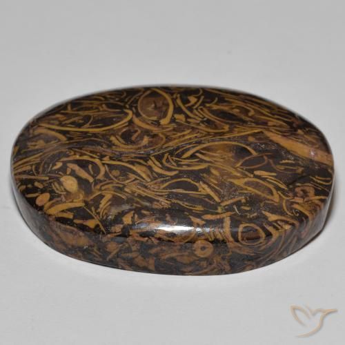 Jaspe Multicolor natural de 91.29 ct, Ovalada, Opaco