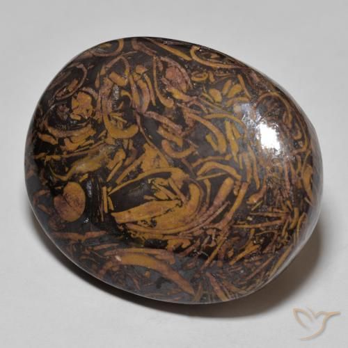 Jaspe Multicolor natural de 62.01 ct, Ovalada, Opaco