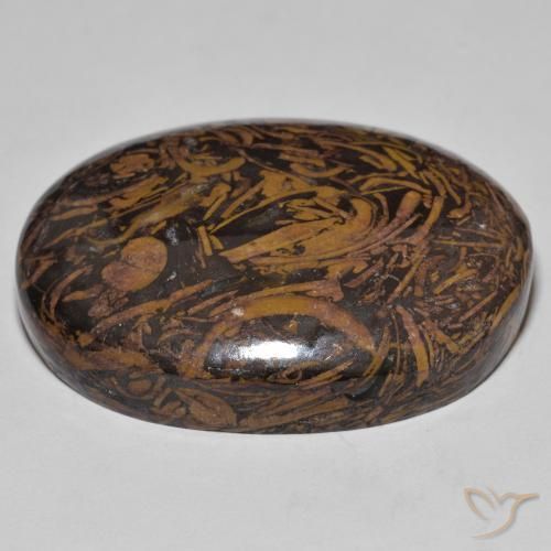 Jaspe Multicolor natural de 62.01 ct, Ovalada, Opaco