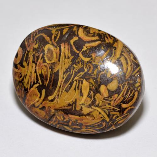Jaspe multicolor natural de 37,59 ct, corte óvalo, opaco